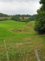 Grasslands near Aurillac - grasslands.jpg