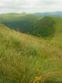 Puy Mary (seen from Puy Violent) - puy-mary.jpg