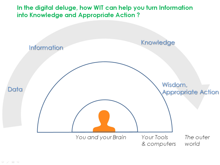 Turn information into useful knowledge and appropriate actions