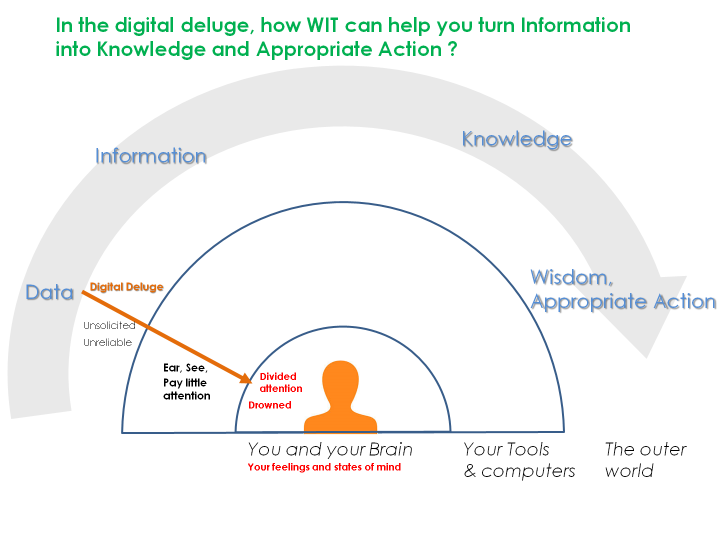 Drowned in the Digital Deluge ?