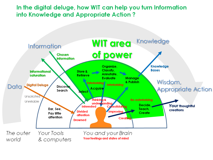 Go beyond knowledge to analyse, create or teach