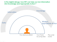 Turn information into useful knowledge and appropriate actions