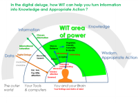 Organize, tag and enrich information into useful knowledge